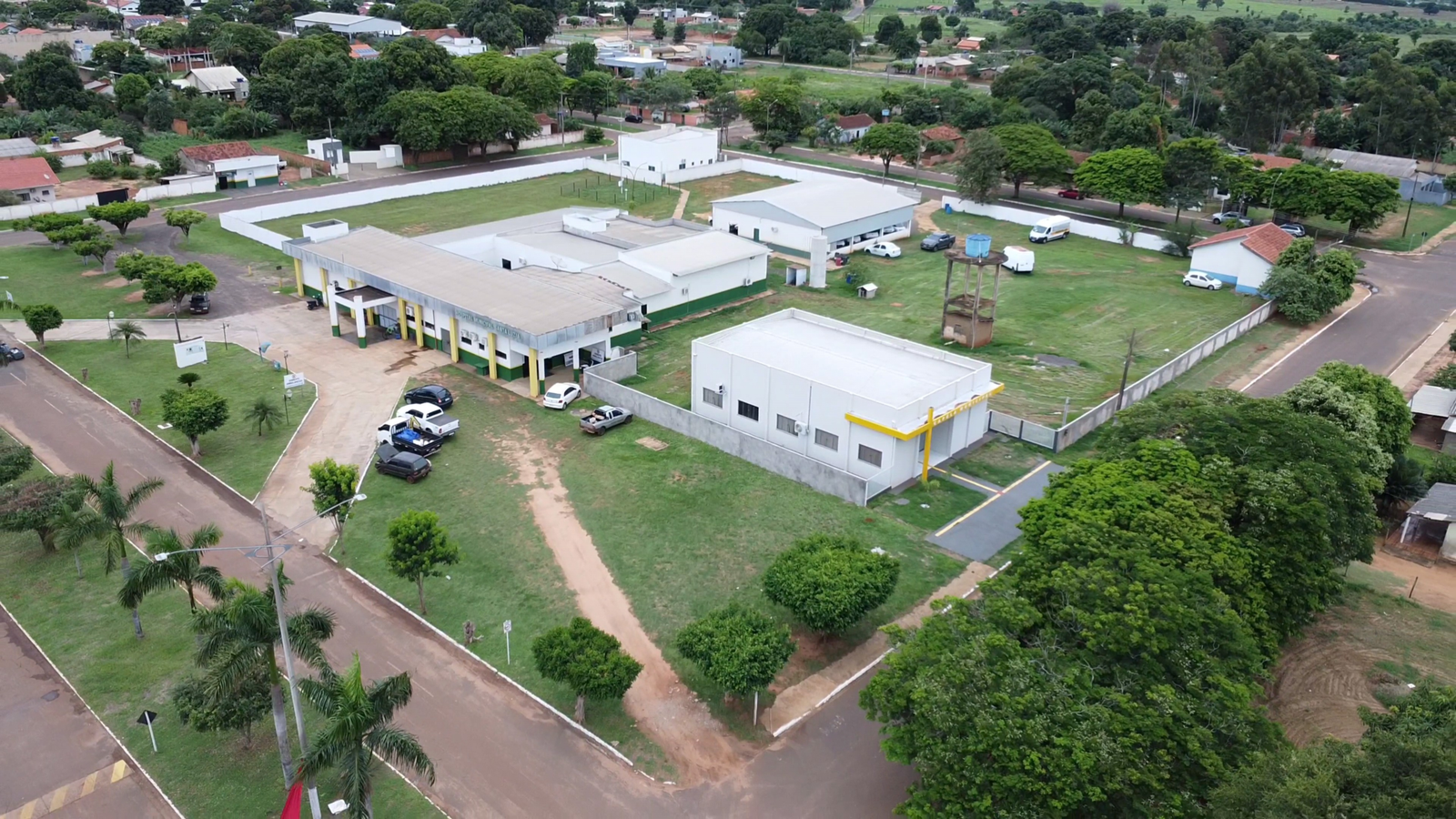 As famílias pioneiras