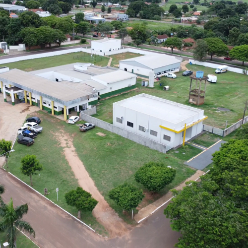 As famílias pioneiras